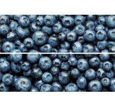 Бивилид тайл ПАННО  Blueberry (стекло) 200х300мм (10) TD-BT-P-BB