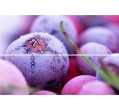Бивилид тайл ПАННО  Frozen berries (стекло) 200х300мм (10) TD-BT-P-FB