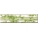 Ретро салатовый Бордюр бамбук 65х250 (40) х