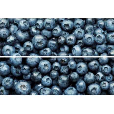     Blueberry () 200300 (10) TD-BT-P-BB0
